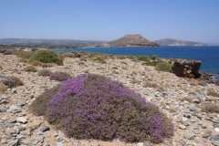 Kreta