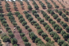 Kreta