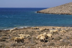 Kreta