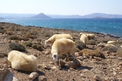 Kreta