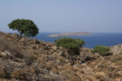 Kreta