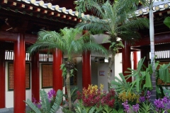 Singapur - China Town