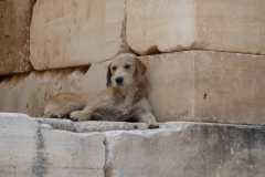 Griechenland - Delphi