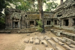 074-2010-02-16_071312-large