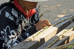 Die Tempel von Angkor