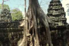 082-2010-02-16_073827-large