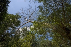 086-2010-02-16_074948-large