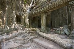 087-2010-02-16_075040-large