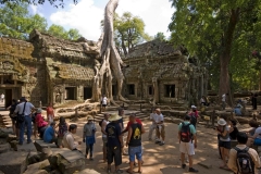 092-2010-02-16_080842-large