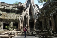 093-2010-02-16_080855-large