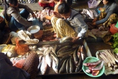 Kambodscha - Siem Reap