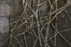 Kambodscha - Beng Melea