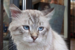 Italien - Ravello Italien - Ravello