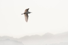 Myanmar - Inlesee Myanmar - Inlesee