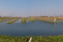 Myanmar - Inlesee Myanmar - Inlesee