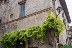 125-2013-10-05_164554