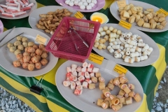 Langkawi - Beach Garden Resort