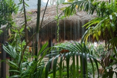 Langkawi - Beach Garden Resort