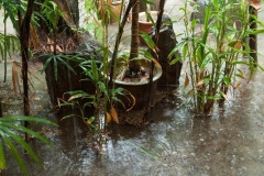 Langkawi - Beach Garden Resort