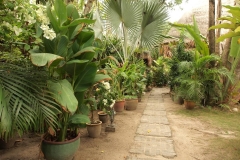 Langkawi - Beach Garden Resort