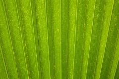 Langkawi - Beach Garden Resort