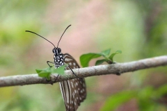 26-2020-02-22_160027_1