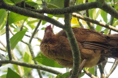 27-2020-02-23_085718_1