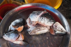 Markt in Khanom