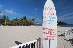 36-2020-03-14_164621_1