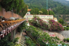 39-2020-03-07_112153