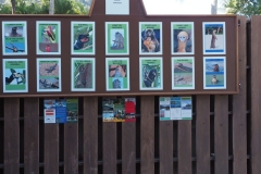 39-2020-03-14_165742