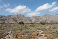 Kreta - Frangokastello